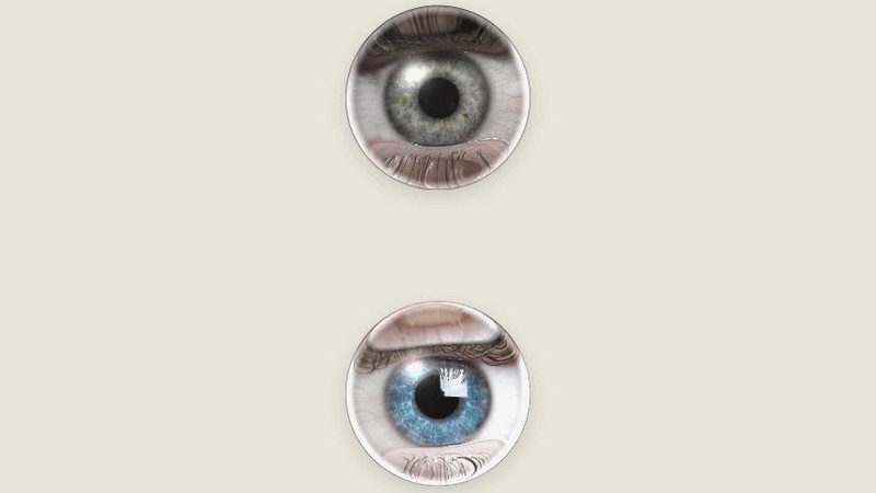 Two Eyes Arguing